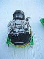 2009 Wintersport Franny (49)